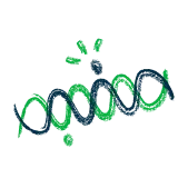 Deep Domain Expertise